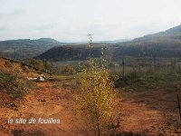 IMG 0006
