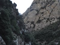 DSC 0013