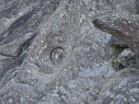 DSC 0031